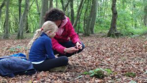 Des experts et du matériel pour des ateliers en forêt